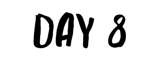 DAY 8